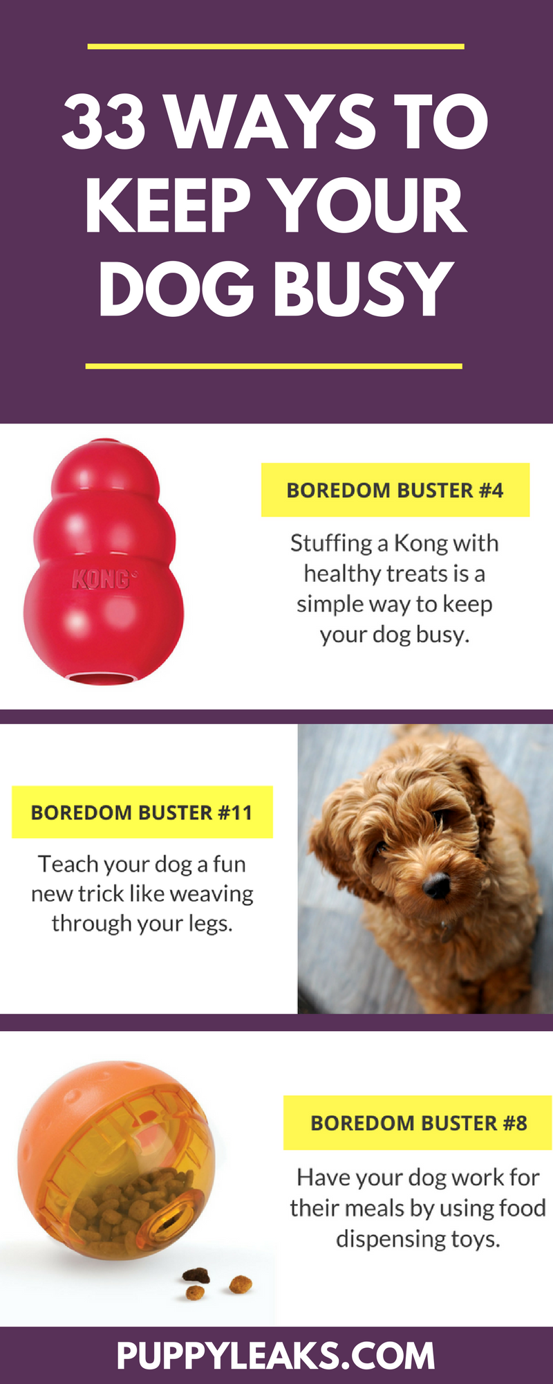 My Dog Needs to Be Entertained Every Minute Tips and Tricks Simple Ways to Keep Your Dog Occupied