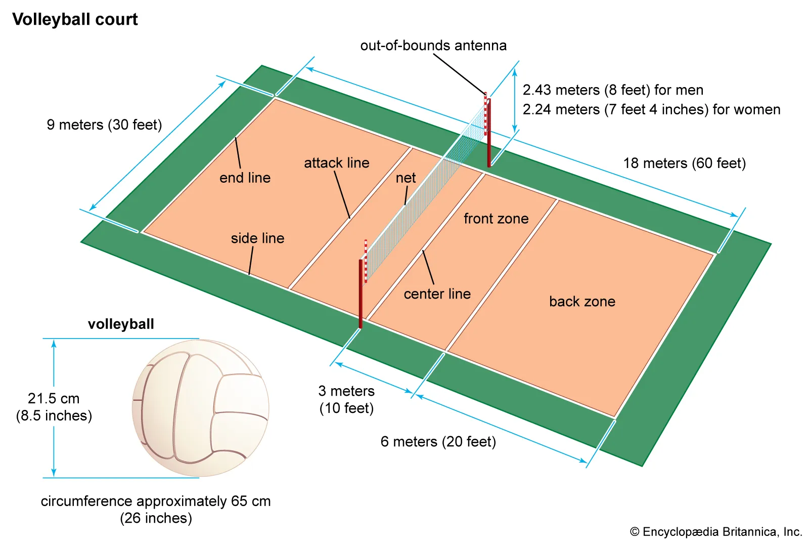 Is it really true the volleyball game is started with a jump ball? Let us explain the actual rules clearly.